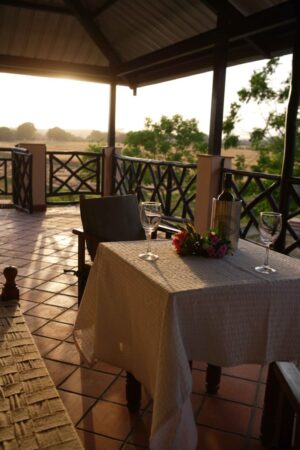 Jim’s Jungle Retreat, Jim Corbett National Park 3