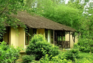 Jim’s Jungle Retreat, Jim Corbett National Park