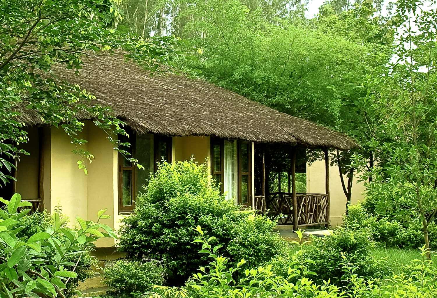 Jim’s Jungle Retreat, Jim Corbett National Park