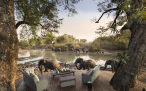 Kanga Camp, Mana Pools National Park | Zimbabwe | Balcony fronting Elephants passing by | The Ultimate Travel Company