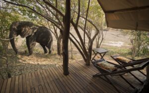 Kanga Camp, Mana Pools National Park | Zimbabwe | Outside the Camp | The Ultimate Travel Company