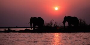 Lake Kariba | Luxury Zimbabwe Safaris | The Ultimate Travel Company