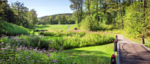 Fairmont Le Château Montebello, Quebec | The Ultimate Travel Company