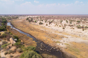 Leroo La Tau, Makgadikgadi Pans National Park | Ultimate Travel Co. | Tailor Made Holidays