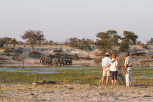 Leroo La Tau, Makgadikgadi Pans National Park | Ultimate Travel Co. | Tailor Made Holidays