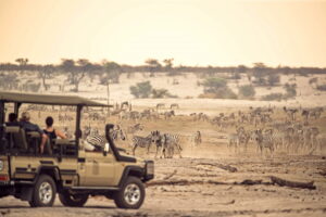Leroo La Tau, Makgadikgadi Pans National Park | Ultimate Travel Co. | Tailor Made Holidays