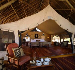 JONGOMERO, RUAHA NATIONAL PARK | Africa | Big Tent | The Ultimate Travel Company