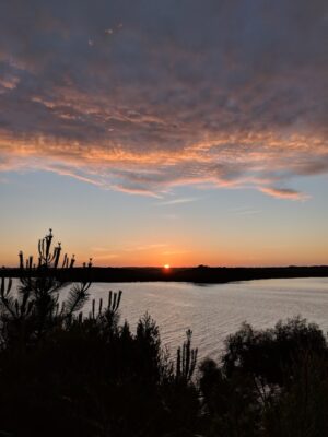 Wheelhouse Apartments, Strahan | Bridge & Wickers