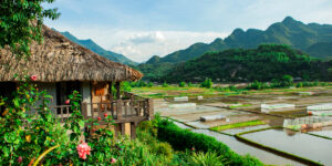 Mai Chau Ecolodge | Mai Chau | The Ultimate Travel Company