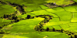 Mai Chau Ecolodge | Mai Chau | The Ultimate Travel Company