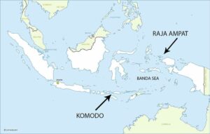 Tiger Blue, Eastern Indonesia | The Ultimate Travel Company