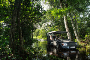 Mboko Camp, Republic Of The Congo | Ultimate Travel Co