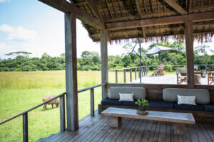 Mboko Camp, Republic Of The Congo | Ultimate Travel Co