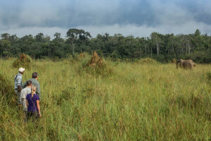 Mboko Camp, Republic Of The Congo | Ultimate Travel Co