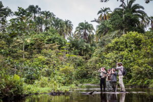 Mboko Camp, Republic Of The Congo | Ultimate Travel Co
