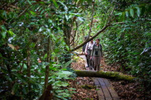 Mboko Camp, Republic Of The Congo | Ultimate Travel Co