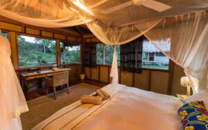 Mboko Camp, Republic Of The Congo | Ultimate Travel Co