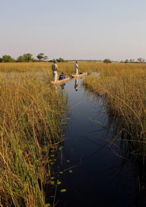 Kanana | Botswana | Ultimate Travel Company