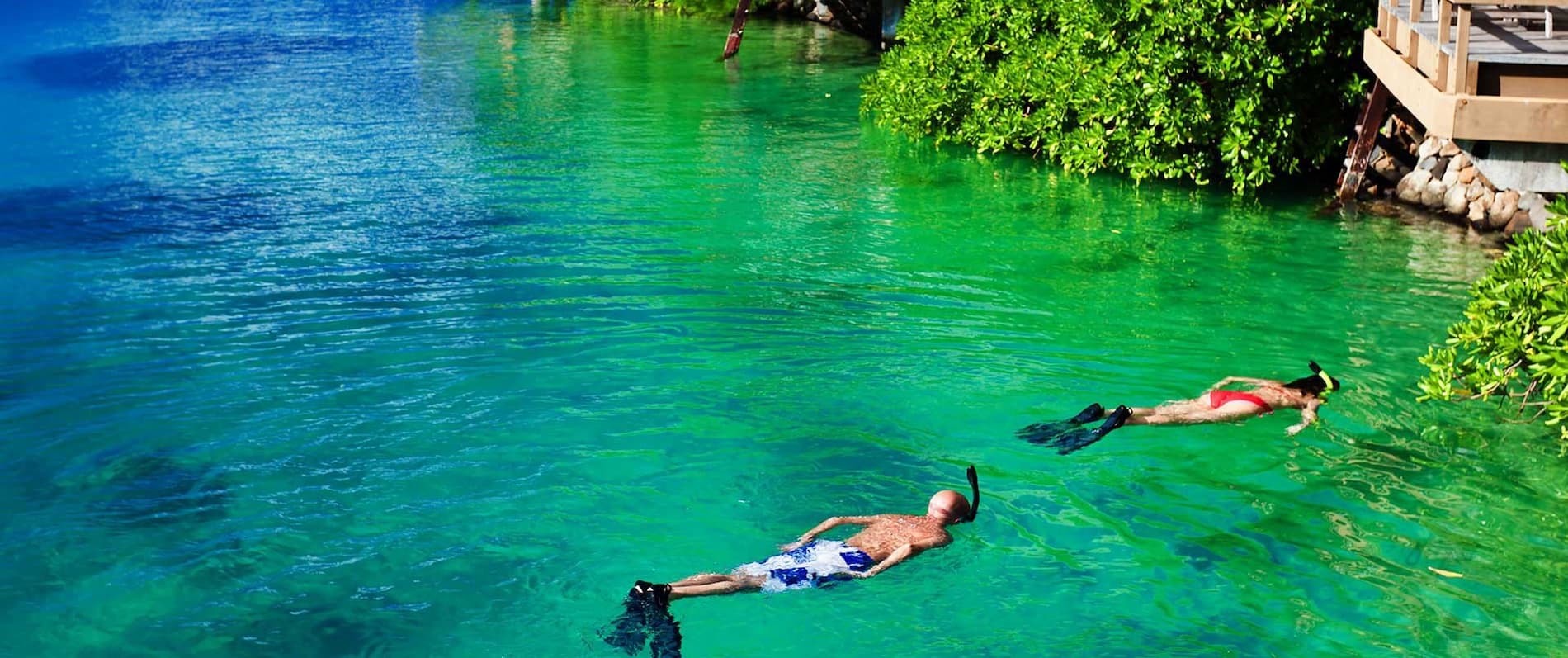 Two People Snorkelling in Moorea and Bora Bora on Honeymoon | Luxury French Polynesia Holidays | The Ultimate Travel Company