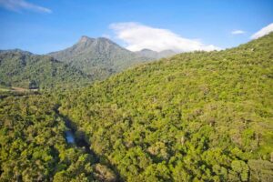 Silky Oaks Lodge, Daintree | Australia | rainforest | The Ultimate Travel Company