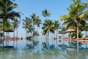 Palm Trees and Water | India Holidays | The Ultimate Travel Company