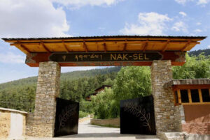 Naksel Boutique Hotel & Spa, Paro | Ultimate Travel Co