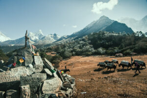 Amadablam, Kumbhu Region | Luxury Nepal Holidays | The Ultimate Travel Company