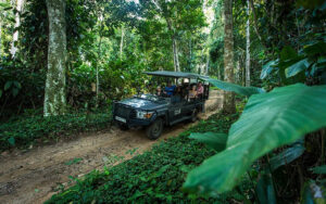 Ngaga Camp, Republic Of The Congo | Ultimate Travel Co