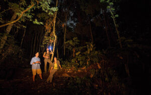 Ngaga Camp, Republic Of The Congo | Ultimate Travel Co
