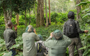 Ngaga Camp, Republic Of The Congo | Ultimate Travel Co