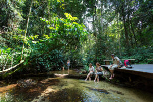Ngaga Camp, Republic Of The Congo | Ultimate Travel Co