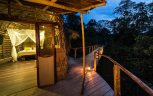 Ngaga Camp, Republic Of The Congo | Ultimate Travel Co