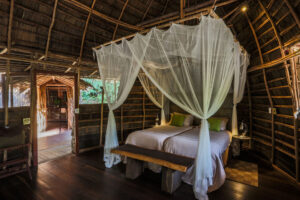 Ngaga Camp, Republic Of The Congo | Ultimate Travel Co