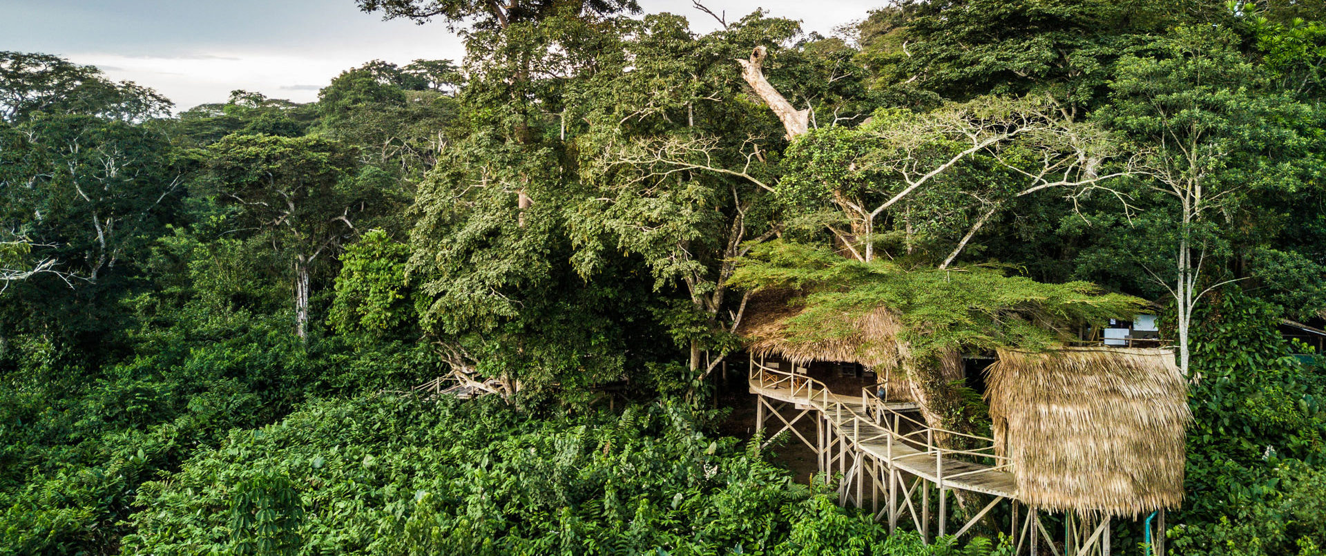 Ngaga Camp, Republic Of The Congo | Ultimate Travel Co