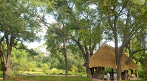 Nkwali Camp, South Luangwa National Park | Ultimate Travel Co