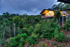 O’reilly’s Rainforest Retreat, Lamington National Park | Queensland | House on stilts in the forest at dusk | The Ultimate Travel Company |