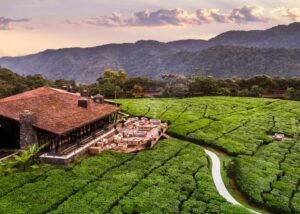 One&Only Nyungwe House, Nyungwe Forest | Luxury Rwanda Holidays | The Ultimate Travel Company