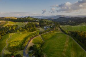 Paroa Bay Winery | New Zealand | Ultimate Travel Company
