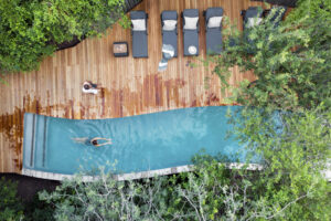 Londolozi | South Africa | Ultimate Travel Company