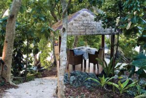 Royal Davui Island Resort | The Ultimate Travel Company