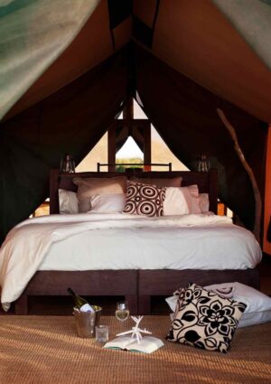 Sal Salis, Ningaloo Re | Ultimate Travel Company