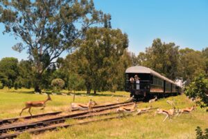 Rovos Rail | Ultimate Travel Company