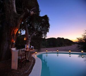 JONGOMERO, RUAHA NATIONAL PARK | Africa | Pool | The Ultimate Travel Company