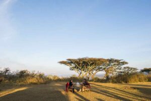 Sanctuary Ngorongoro Crater Camp, Ngorongoro | The Ultimate Travel Company