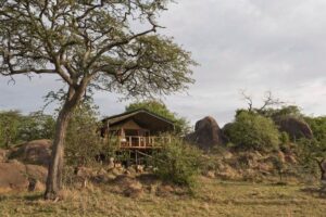 Kusini Tented Camp, Serengeti | The Ultimate Travel Company