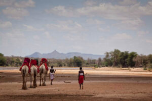 Sasaab Lodge, Samburu National Park | Ultimate Travel Co