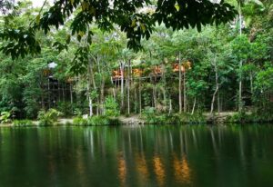 Silky Oaks Lodge, Daintree | Australia | river view | The Ultimate Travel Company