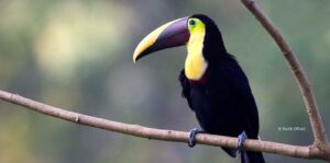 Simply Costa Rica | The Ultimate Travel Company
