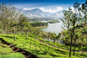 Aerial View of Kerala | India Holidays | The Ultimate Travel Company