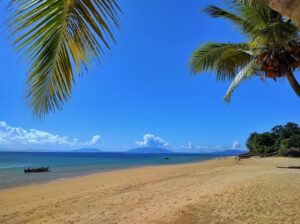 Beach and Palm Trees in Madagascar | Luxury Madagascar Holidays | The Ultimate Travel Company